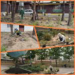 گلکاری فضای سبز مدرسه